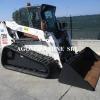 : BOBCAT_T250_Minipale
