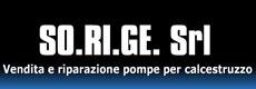 Ritratto di roberto